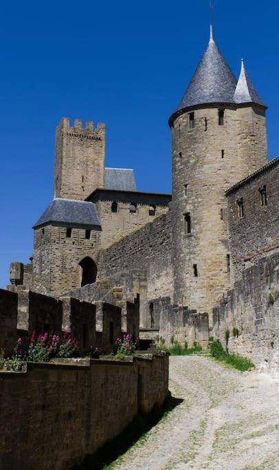 La Terrasse Des Remparts - Sublime T3 Apartment Carcassonne